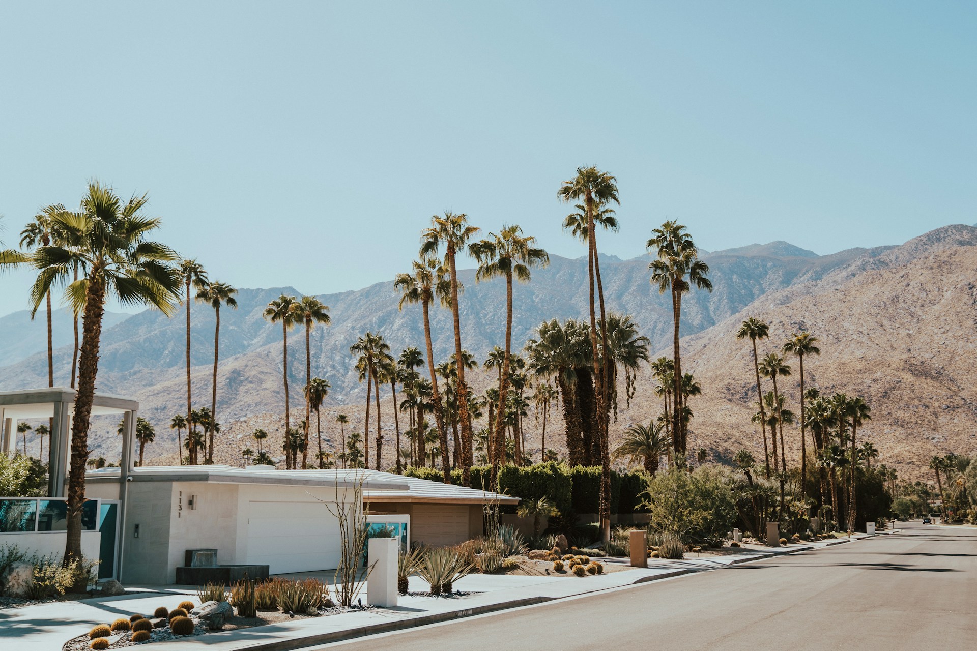 A classic mid-century Palm Springs home nestled amongst palm trees