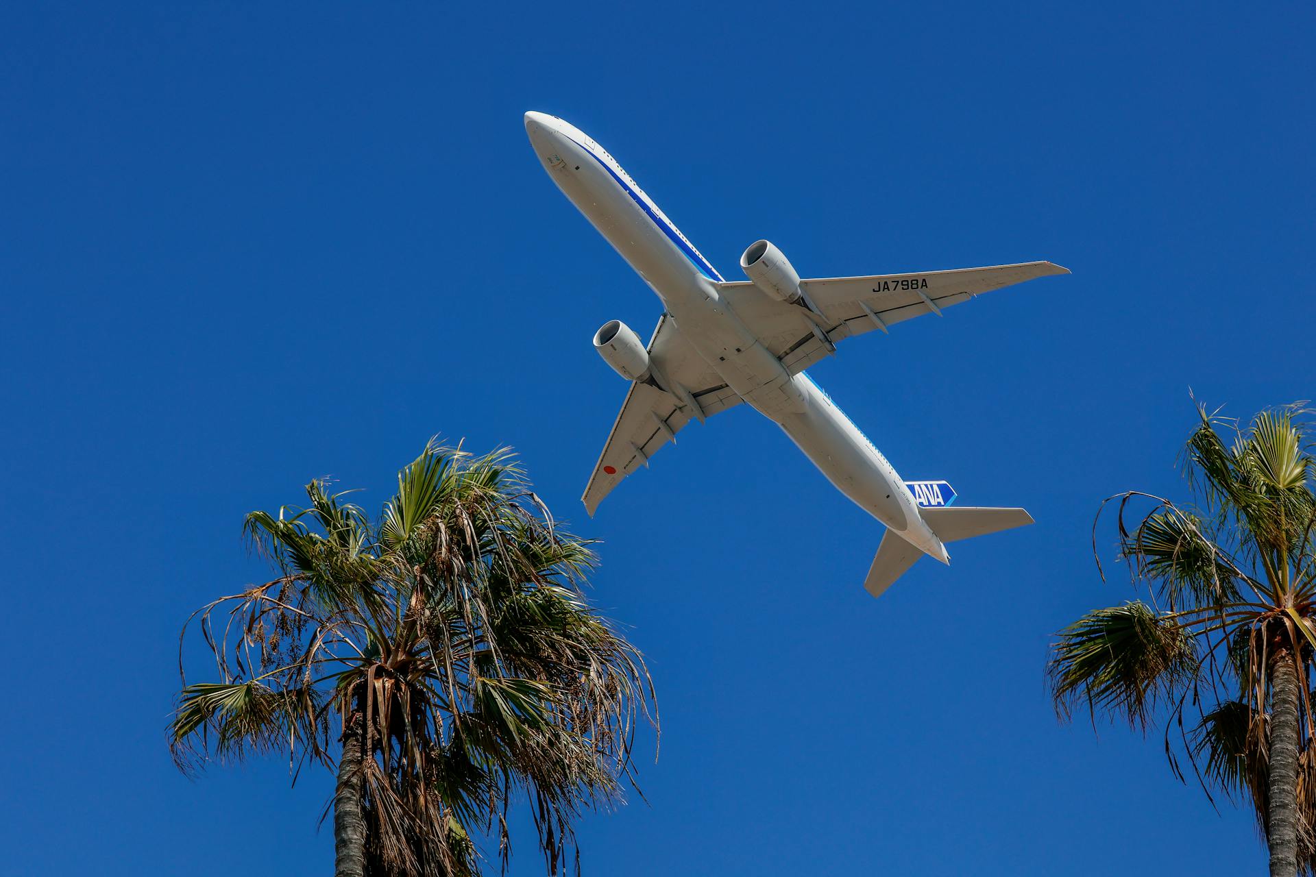 An airplane in a bright blue sky flies over palm trees